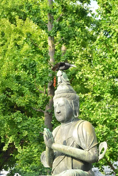 DSC_3505 (Large).JPG